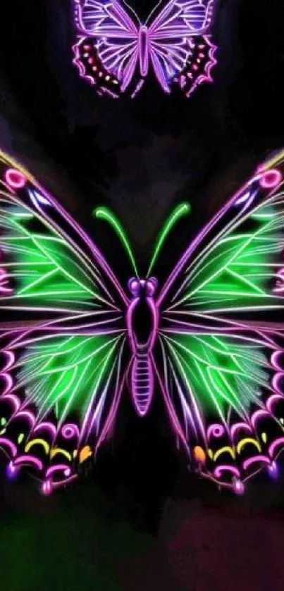 Vibrant neon butterfly with colorful wings on a black background.