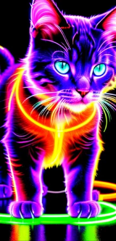 Colorful neon cat with glowing vibrant design on black background.