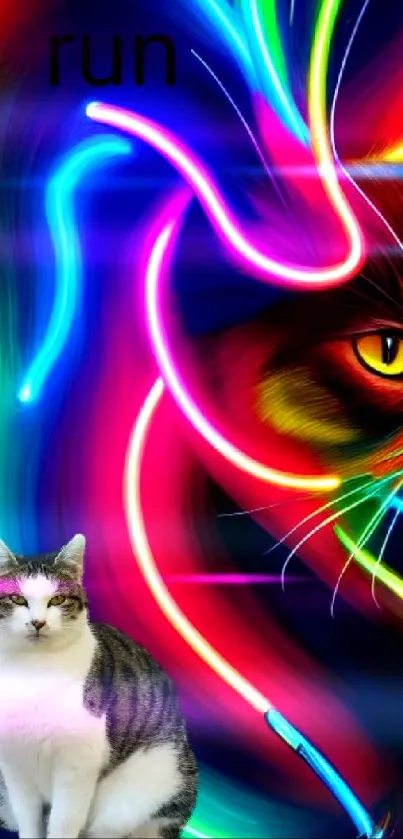 Mobile wallpaper with vibrant neon lights and two cats.