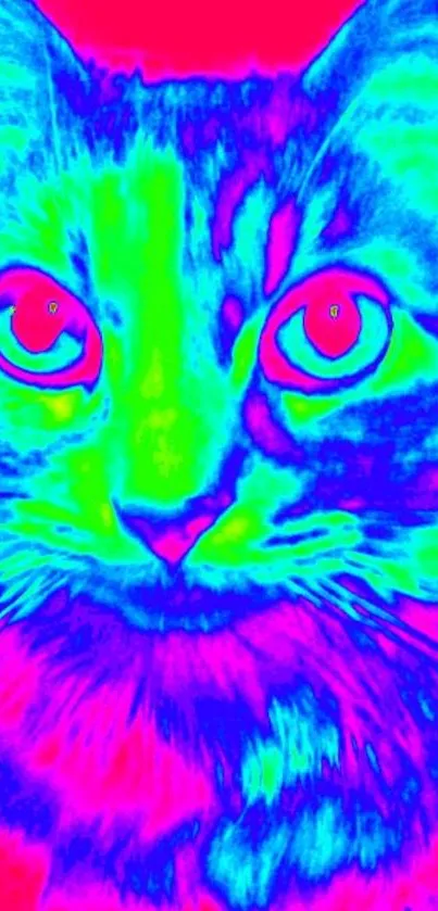 Neon cat wallpaper with electric blue and green hues.