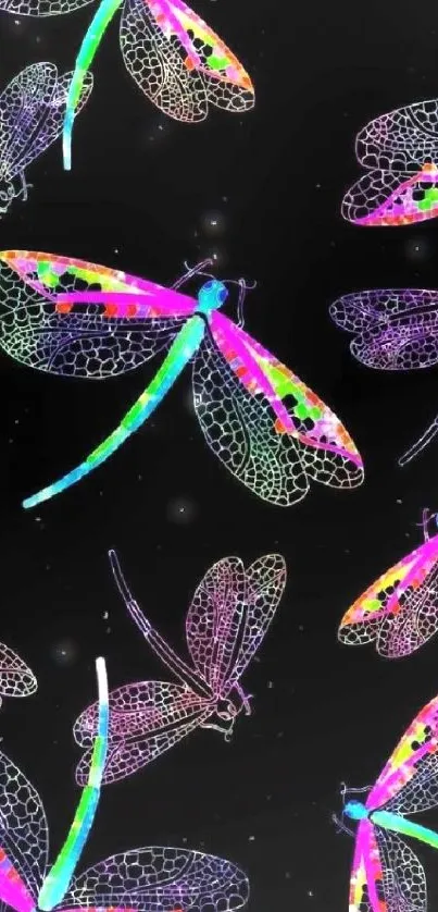 Colorful neon dragonfly pattern on black background.