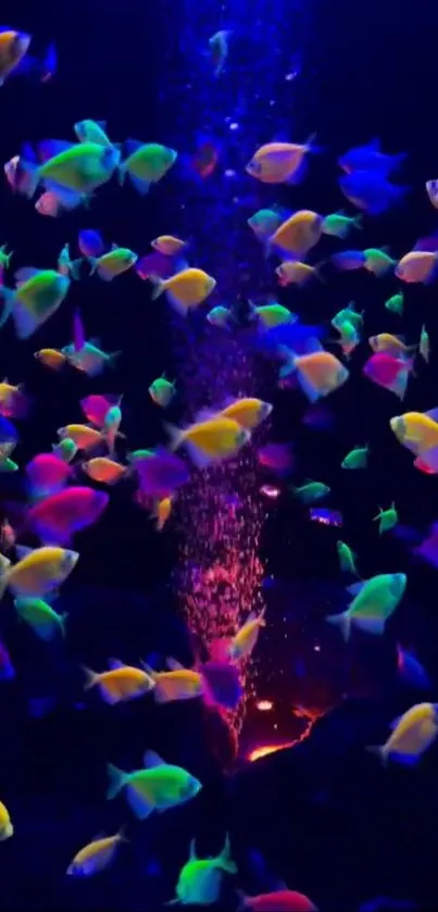 Colorful neon fish swim in a dark aquarium.