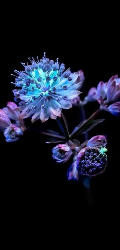 Neon flower on a dark background, ideal for a vibrant mobile wallpaper.