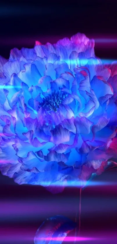 Vibrant neon floral wallpaper with blue and pink hues.