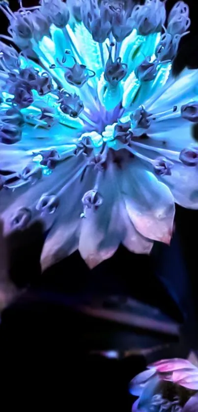 Neon flower with glowing petals in vibrant colors.