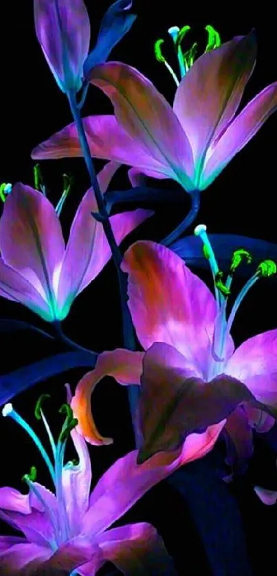 Vibrant neon flowers with glowing petals on a black background.