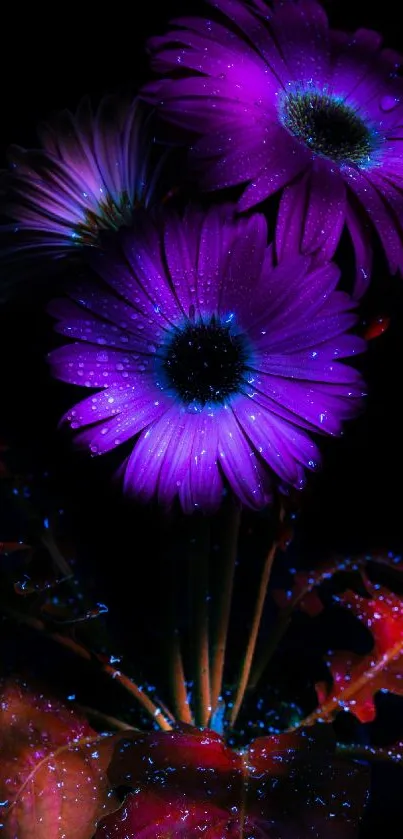 Vibrant neon flower wallpaper with glowing purple petals.