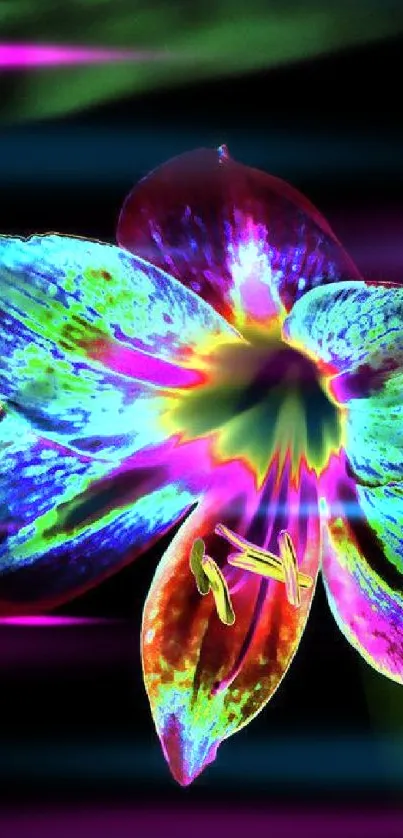 Neon glowing flower mobile wallpaper with vibrant colors.