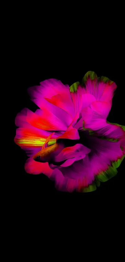 Mobile wallpaper with a neon pink flower on black background.