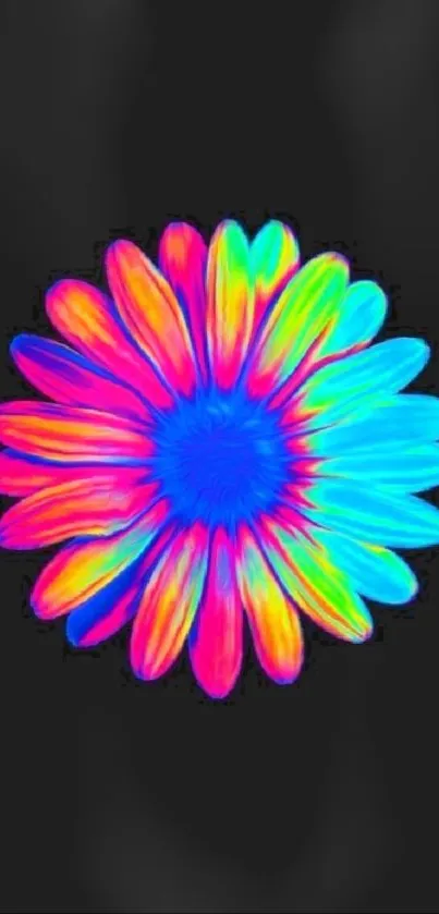 Colorful digital flower on black background