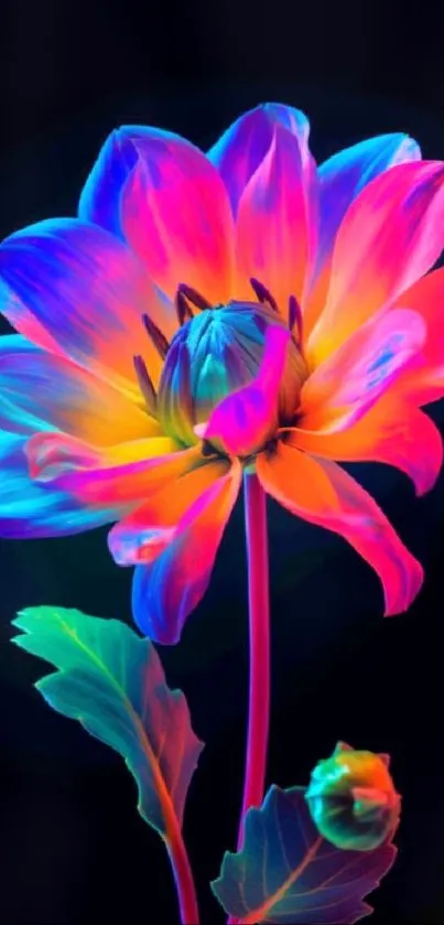 Vibrant neon flower on a dark background, perfect for mobile wallpaper.