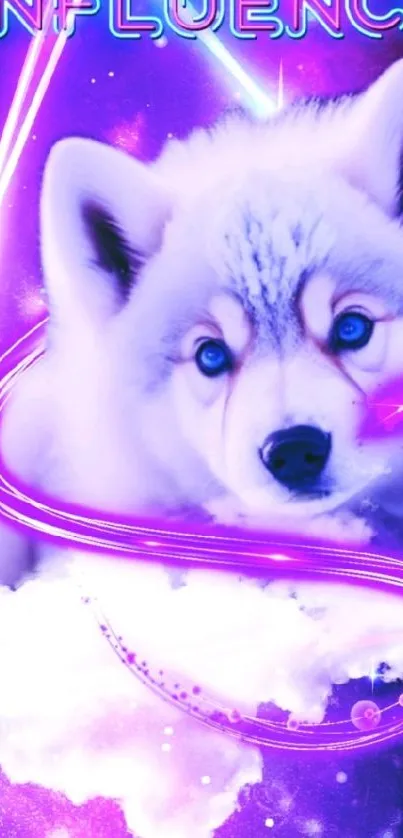 Neon husky with purple cosmic glow in wallpaper design.