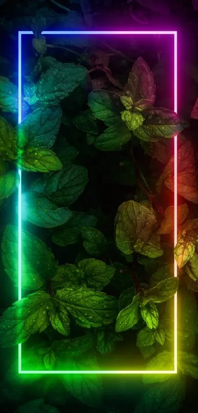 Vibrant neon frame over lush green leaves mobile wallpaper.