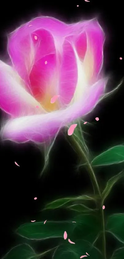 A vibrant neon rose art wallpaper with glowing pink petals on a black background.