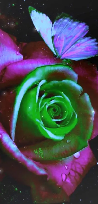 Neon pink rose and butterfly on a dark background wallpaper.