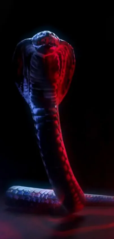 Neon-lit snake in red and blue hues on a dark background.