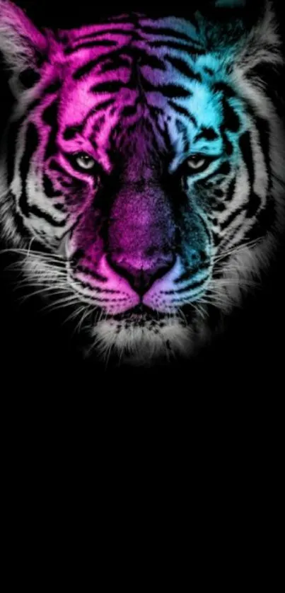 Neon tiger on a black background wallpaper.