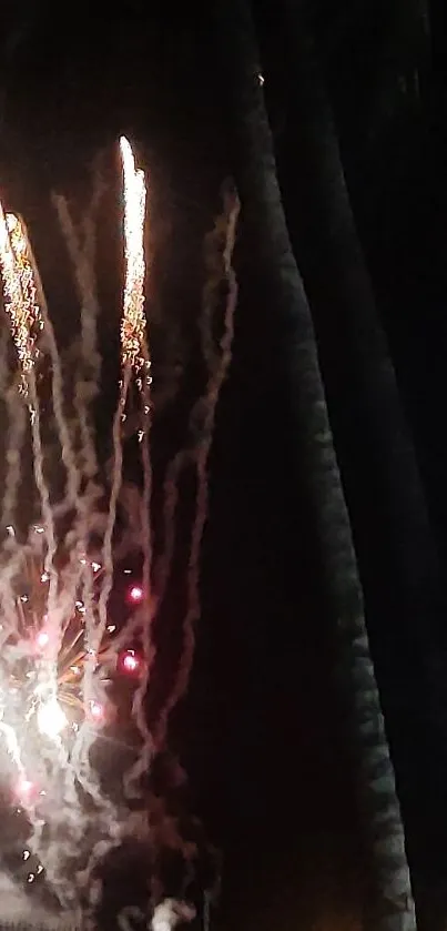 Fireworks exploding in a dark sky with vibrant lights and smoke trails.