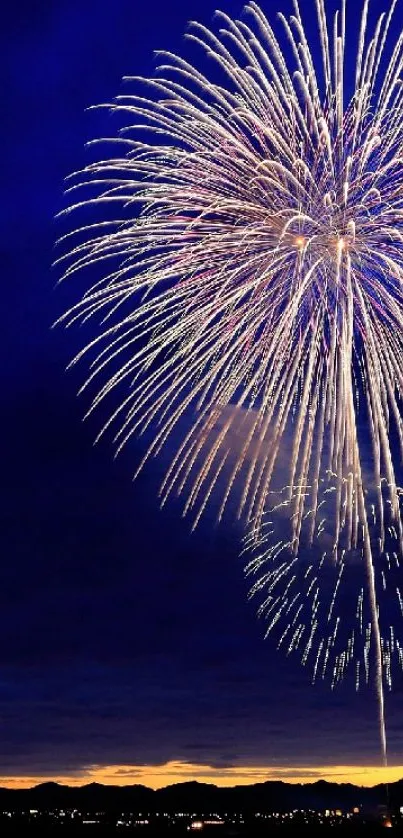 Captivating fireworks lighting up the dark evening sky.