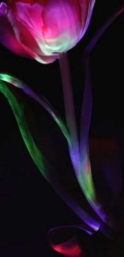 Luminous flower against a black background.