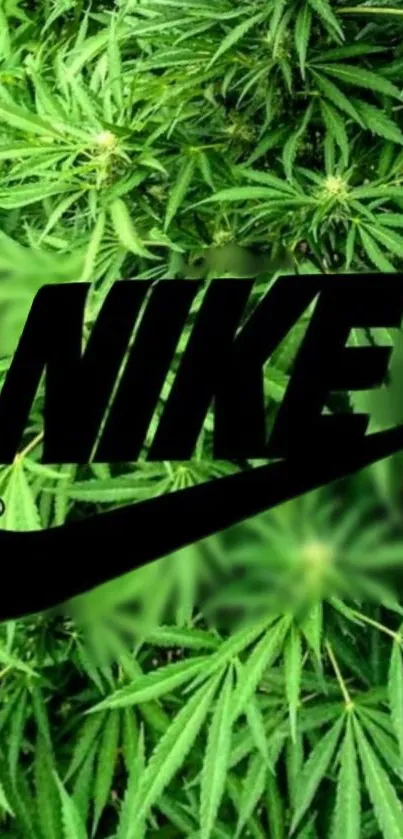 Nike logo with green leaf background.