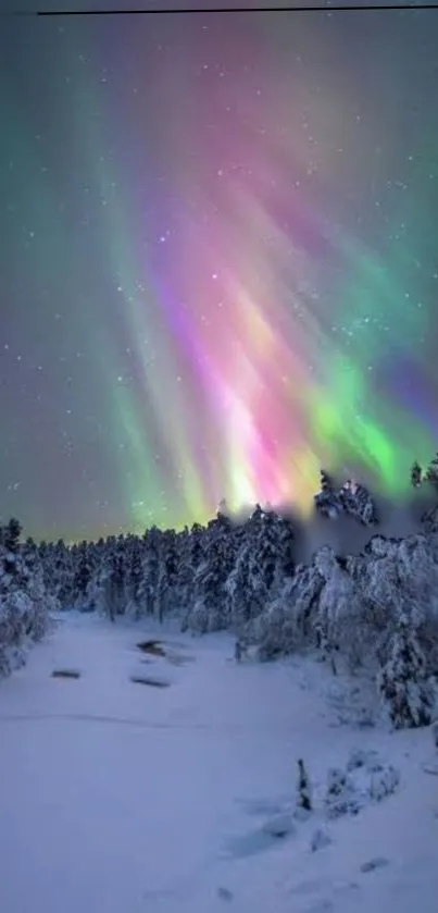 Vibrant Northern Lights above snowy forest.