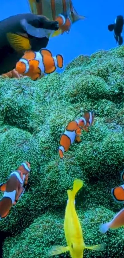 Clownfish swimming vividly in ocean scene.