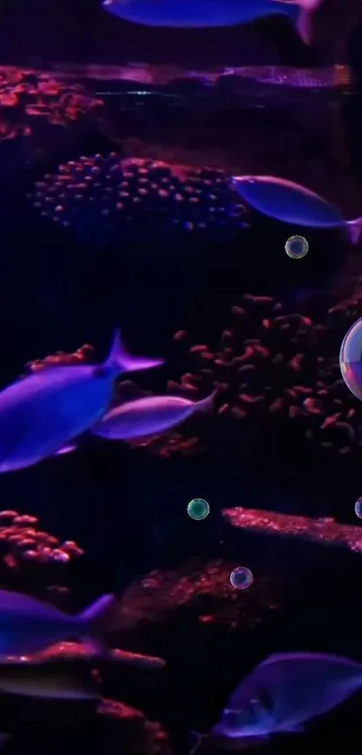 Vibrant fish swimming in dark ocean scene with corals.