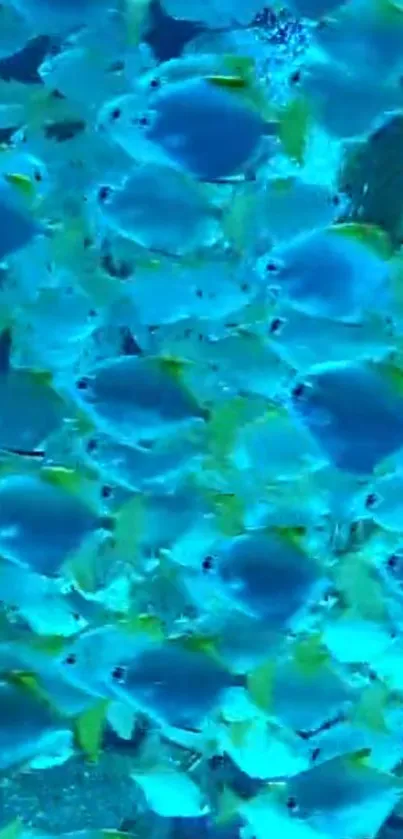 Vibrant school of fish swimming in blue ocean hues as a mobile wallpaper.