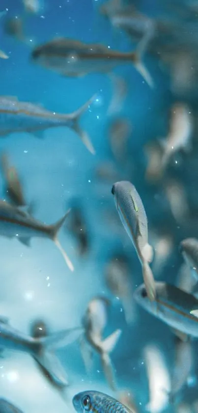 Vibrant ocean fish swimming in clear blue water.