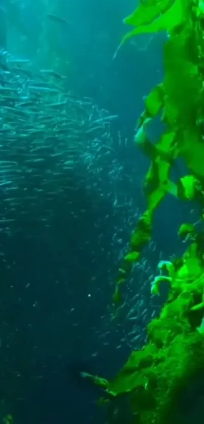 Vibrant green kelp and shimmering fish in underwater scene.