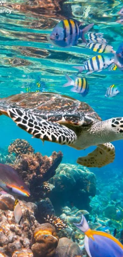 Turtle swimming over vibrant coral reef with colorful fish in background.