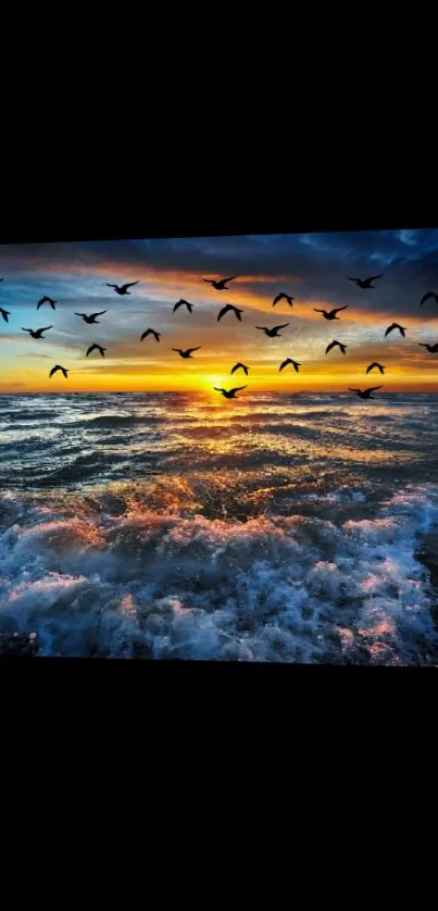 Stunning ocean sunset with flying birds, ideal for wallpaper.