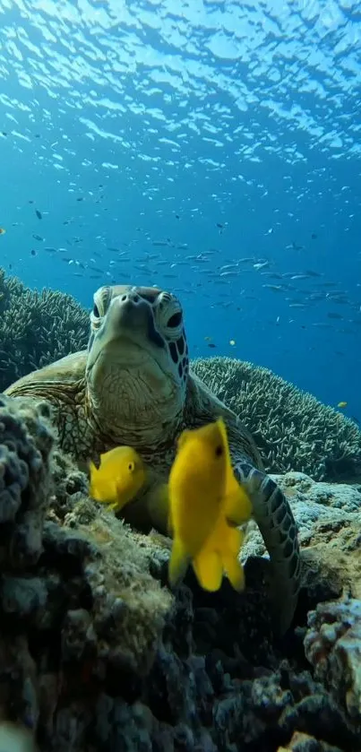 Sea turtle among coral with yellow fish swimming in vibrant blue water.