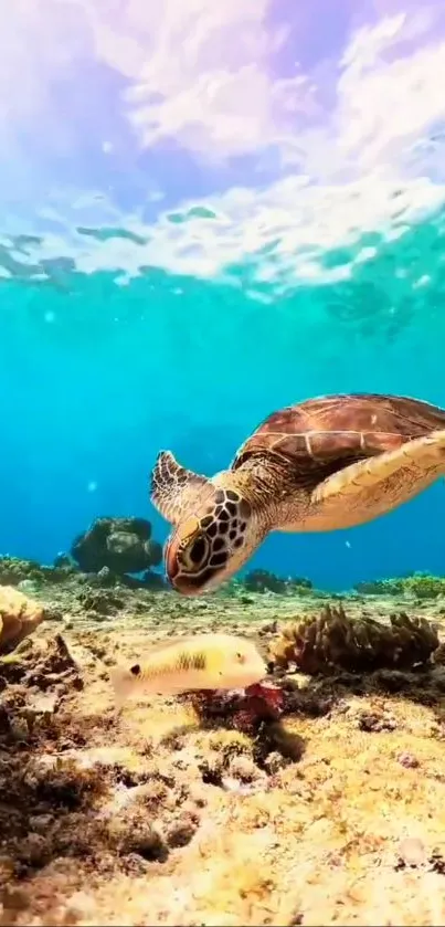 Sea turtle swims over vibrant coral reef underwater.