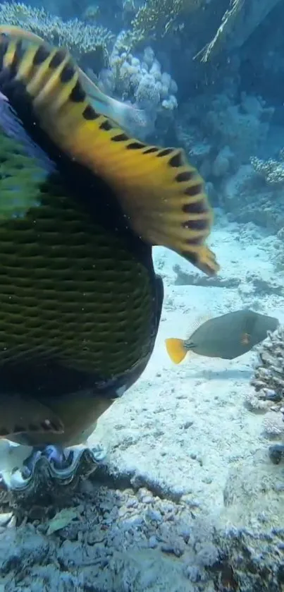 Underwater scene with colorful fish and coral reefs, ideal for ocean lovers.