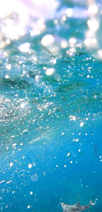 Underwater ocean scene with vibrant blue and marine life.