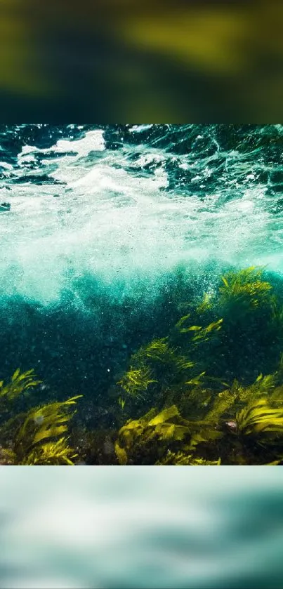 Underwater scene with seaweed and vibrant turquoise waves in the ocean.