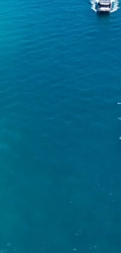 Turquoise ocean with a distant boat on a sunny day.