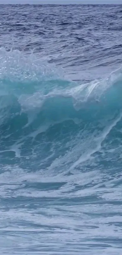 Vivid blue ocean wave crashing in a serene seascape.