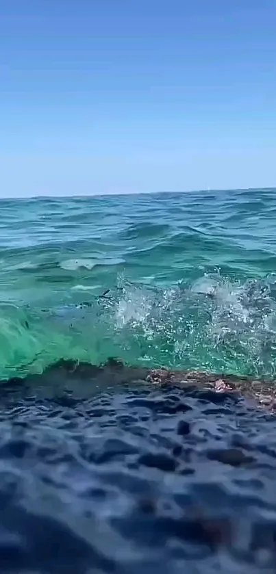 Dynamic ocean waves against a clear blue sky.