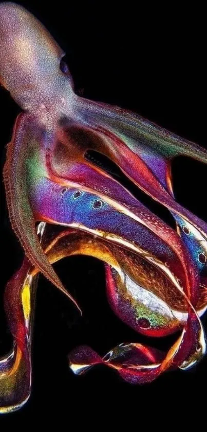 Colorful octopus on black background wallpaper.