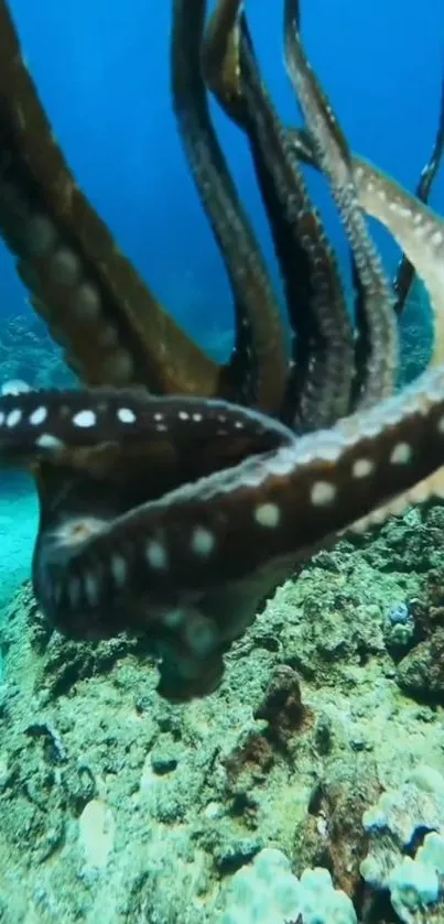 Vibrant octopus in clear blue ocean water with dynamic tentacles.