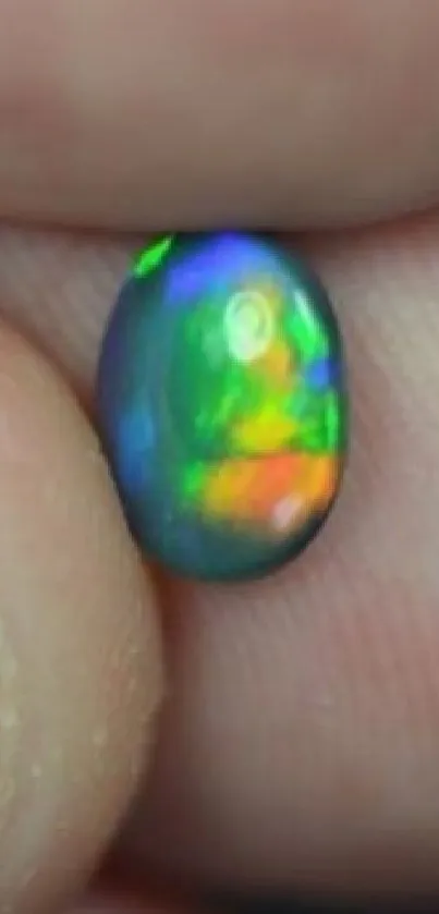 Close-up of a vibrant opal stone with colorful patterns in hand.