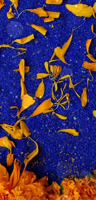 Vibrant orange petals on a blue background wallpaper.