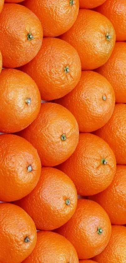 Stack of fresh oranges in orange color wallpaper.