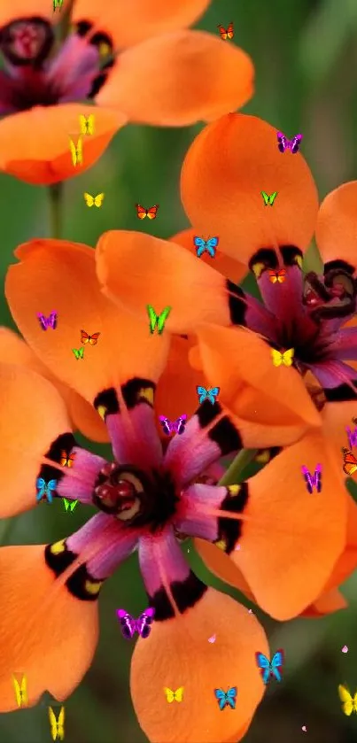 Vibrant orange flowers with green background.