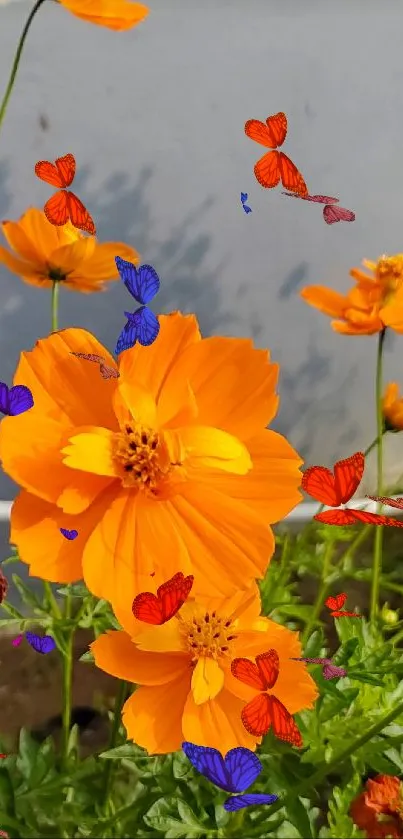 Bright orange flowers on a sunny day, adding vibrant color to the scenery.