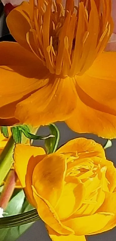 Vibrant orange flowers with green stems and subtle shadows.