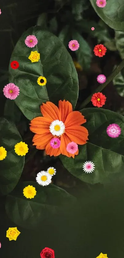 Vibrant orange flower with lush green leaves background.